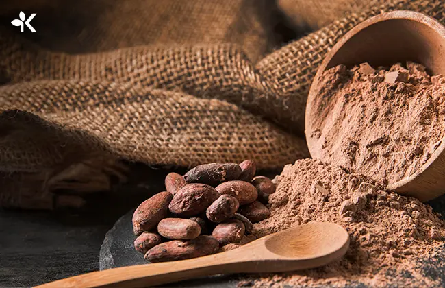 Semillas y polvo de cacao