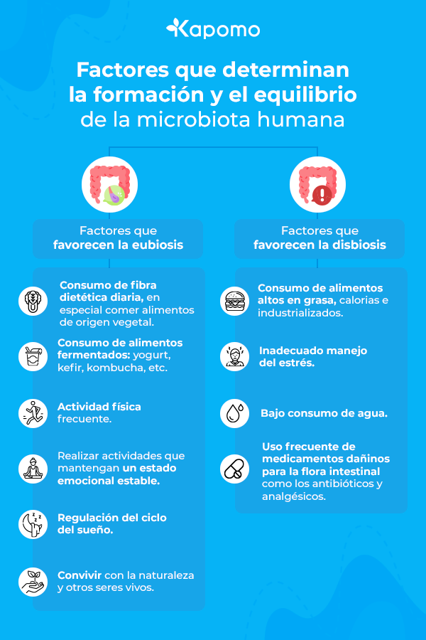 Infografía con los factores que determinan la formación y equilibrio de la microbiota