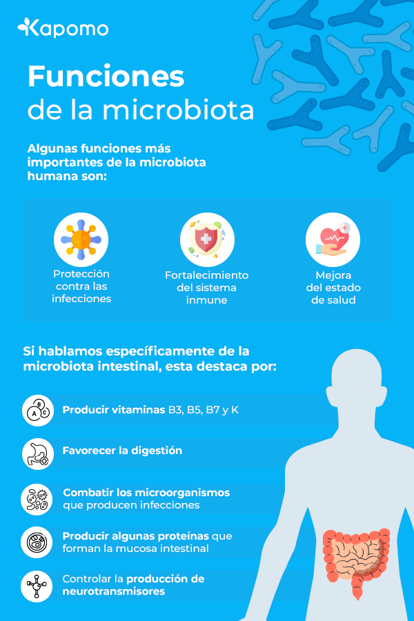 Infografía con las funciones de la microbiota