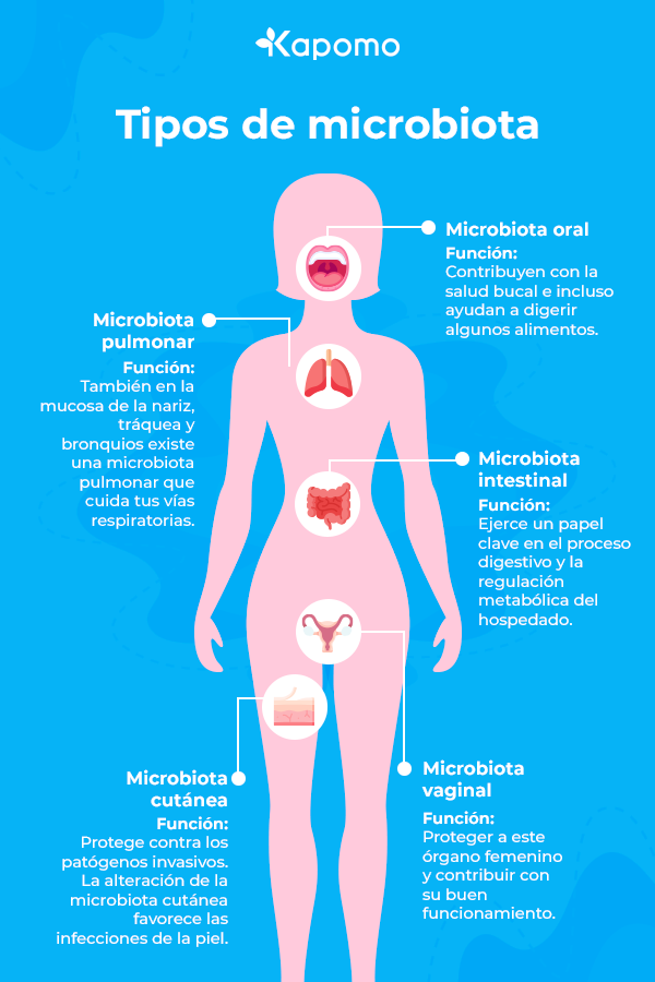 Infografía con los tipos de microbiota