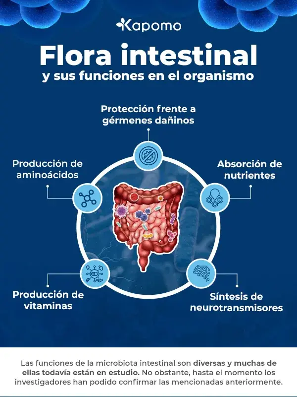 Infografía con las funciones de la flora o microbiota intestinal