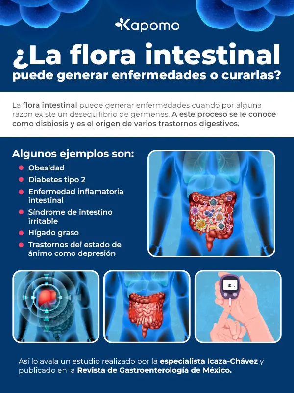 Infografía donde se explica si la flora intestinal puede generar enfermedades o curarlas