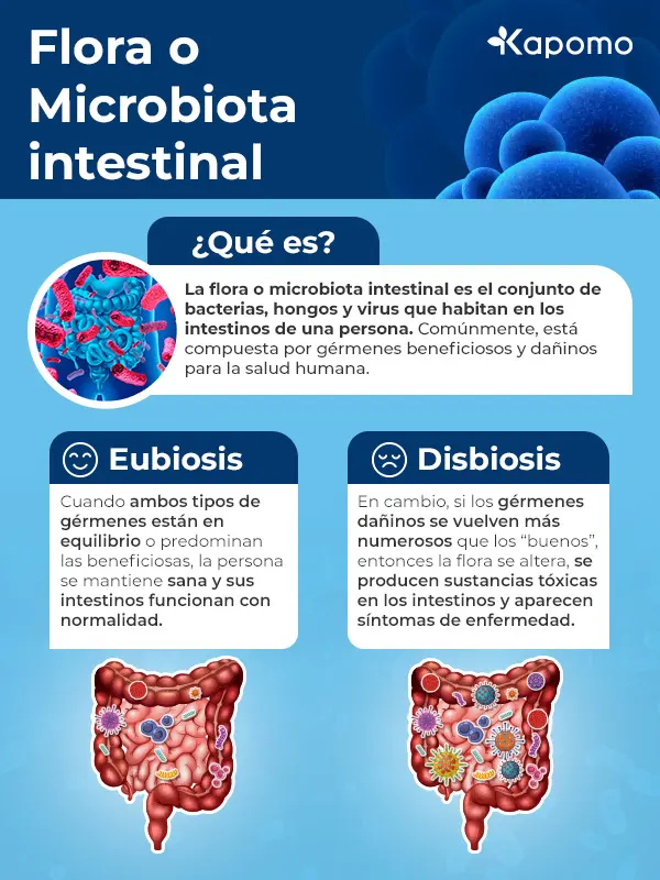 Infografía donde se explica qué es la flora intestinal así como los procesos de eubiosis y disbiosis